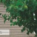 Сайдинг Ю-Пласт TIMBERBLOCK Пихта (Тимберблок) Cахалинская купить в на Вятских Полянах