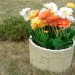 Цветник КАНЬОН купить в на Вятских Полянах